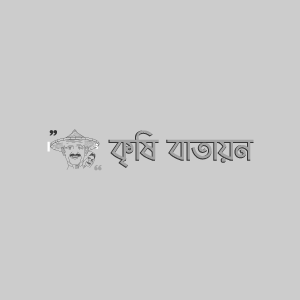 আলুবোখারার পাতার উইভিল